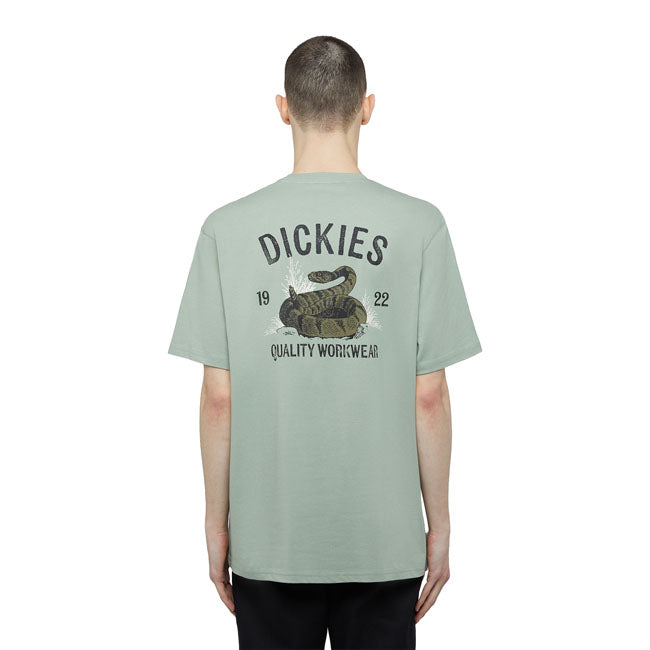 Dickies Käärme t-paita