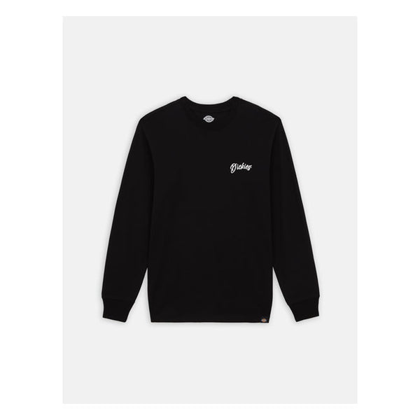 Dickies Dighton Longsleeve T-Shirt Black / S