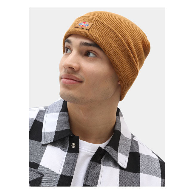 Dickies Gibsland Beanie