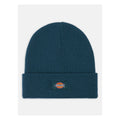 Dickies Gibsland Beanie Reflecting Pond