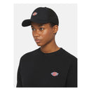 Dickies Hanston Trucker Cap
