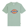 Dickies Icon Logo T-Shirt Green / S  - Customhoj