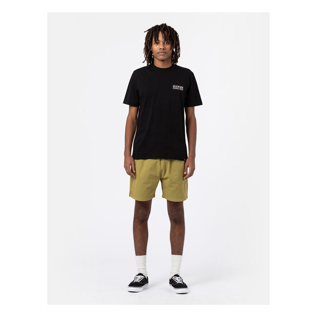 Dickies Shorts Dickies Pelican Rapids Shorts Customhoj