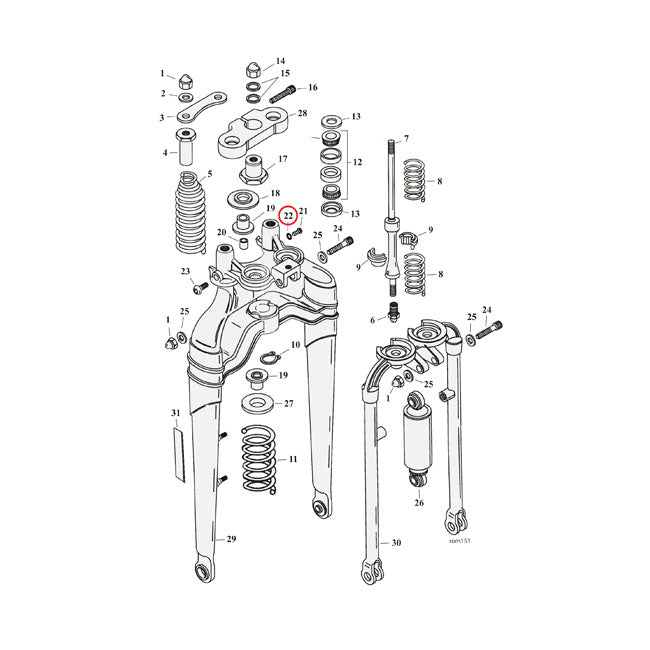 SAMWEL Springer reservdelar Washer Lock Softail Springer Fork. FXST 88-06; FLSTS 97-09 Customhoj